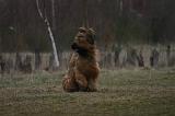 BRIARD 281